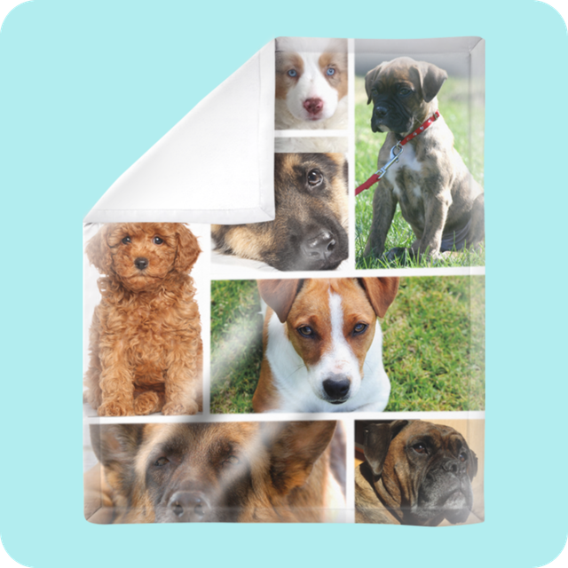 Make Your Pet the Star Custom Pet Photo Products Annex Photo